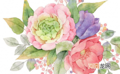 2022年男孩姓莫取什么名字好 虎年100分的莫姓男孩起名精选