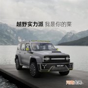 坦克300赛博朋克延迟交付引车主不满