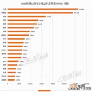 2021欧洲电动汽车销量榜 极星和名爵上榜