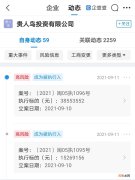 贵人鸟投资公司被强制执行5000万元