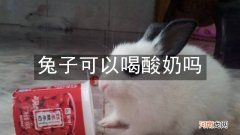 兔子可以喝酸奶吗