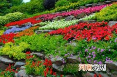 2023年文姓起名配什么字好 属兔文姓男孩名字大全