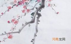 2022年属虎带锦的霸气男孩名字 一听就让人心生畏惧的起名