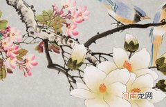 2022年男孩火字旁最有涵养的字 形容自带光芒的男孩名字