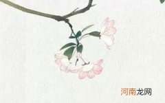 2023年新历1月出生女孩怎么取名 兔年500个女孩最佳取名字