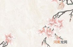 2022年新生儿薛姓男孩名字大全 薛姓男孩最好听霸气的起名