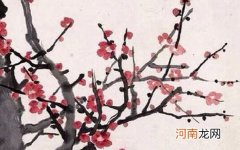 2022年10月11日出生是什么命 罕见好听的男孩小名虎宝宝