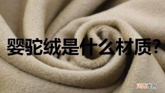 婴驼绒是什么材质