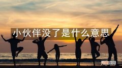 小伙伴没了是什么意思