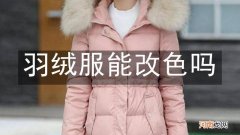 羽绒服能改色吗