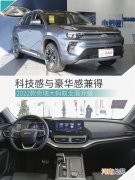 中型电动SUV的黑马 新款奇瑞大蚂蚁全面解析