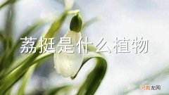 荔挺是什么植物