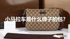 小马拉车是什么牌子的包