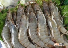 盐田虾与海虾的区别