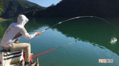 丁香油钓鱼配方丁香油的制作方法