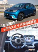 生而出色的海洋选手 比亚迪海豚骑士版试驾