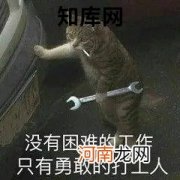 天选打工人什么意思网络用语 天选打工人是什么梗优质