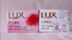 力士属于哪个公司品牌