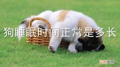 狗睡眠时间正常是多长