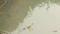 带钩调漂和不带钩调漂的区别