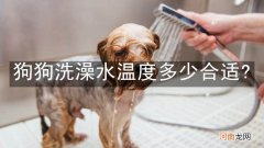 狗狗洗澡水温度多少合适?