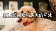 狗狗长期吃鸡胸肉的坏处