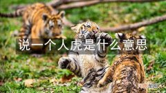 说一个人虎是什么意思