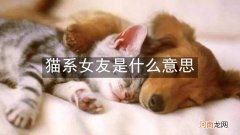 猫系女友是什么意思
