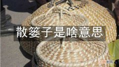 散篓子是啥意思