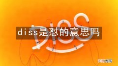 diss是怼的意思吗