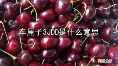 车厘子3JDD是什么意思