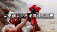 网络词太上头了是什么意思