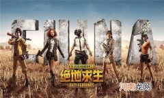 pubg什么意思