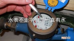 水表不走字但是一直有水