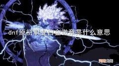 dnf原初职业白金徽章是什么意思