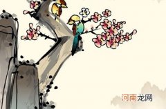 2022虎年胡姓男宝宝取名大全 给男宝宝取寓意好听的名字