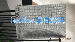 leather是真皮吗