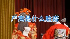 严嵩是什么脸谱