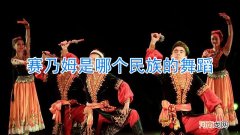 赛乃姆是哪个民族的舞蹈