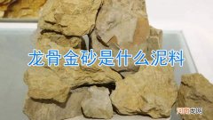龙骨金砂是什么泥料