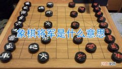 象棋将军是什么意思
