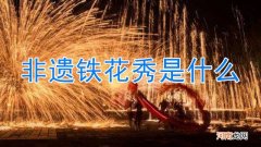 非遗铁花秀是什么