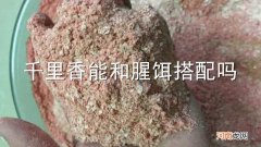 千里香能和腥饵搭配吗