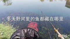 冬天野河里的鱼都藏在哪里