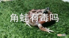 角蛙有毒吗