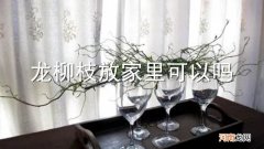 龙柳枝放家里可以吗