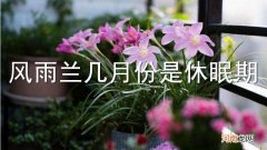 风雨兰几月份是休眠期