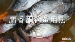 麝香酮钓鱼用法