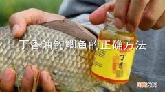 丁香油钓鲫鱼的正确方法