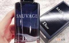 迪奥sauvage什么意思